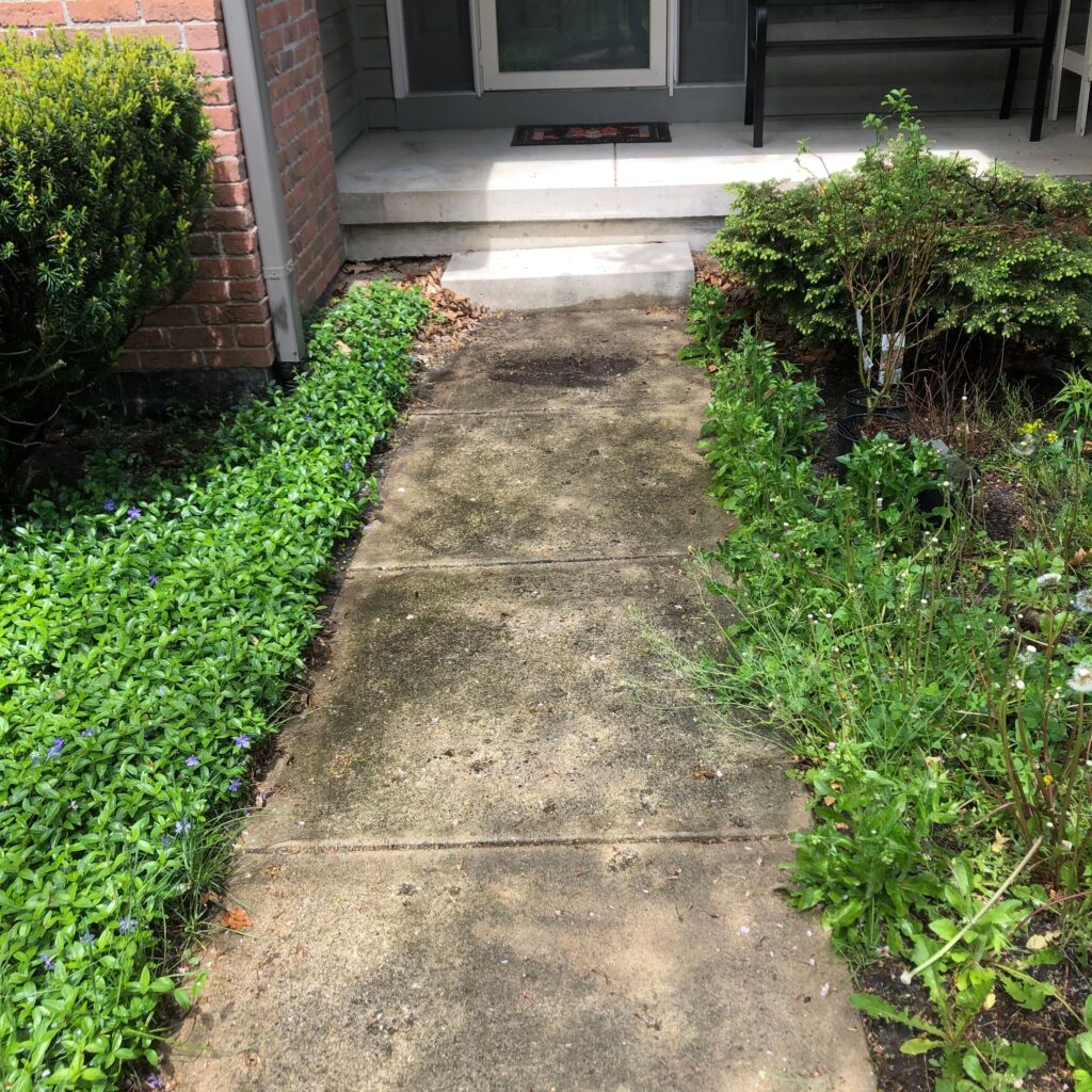 Overgrown plants and debris along a front walkway causing uneven concrete wear.