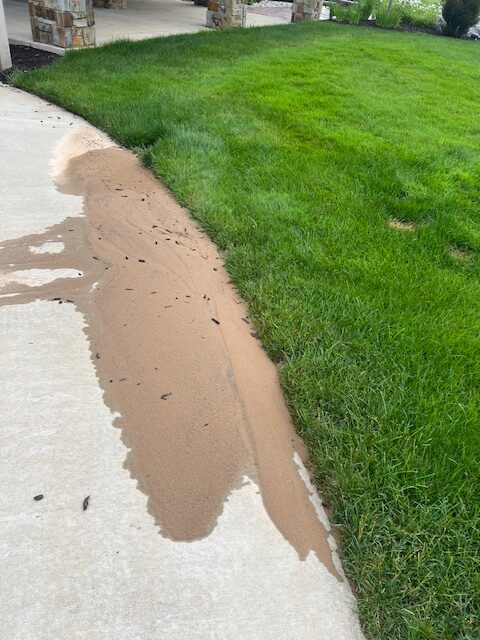 Close-up of organic stains and dirt marks on a concrete surface.
